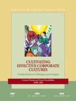 Cultivating effective corporate culture a global study of challenges and strategies