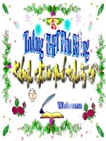 lop 10a1 thph phu rieng thuyet minh ao dai