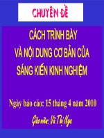 CDe SKKN-Nga-Văn Lâm