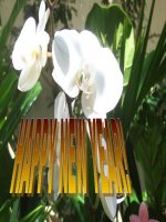 Bài 40 Hiện tượng khúc xạ ánh sáng