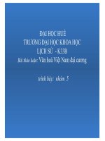 Văn hóa Việt Nam đại cương