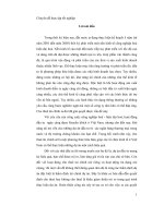 chuyên đề hoàn thiện công tác thẩm định tài chính dự án tại công ty cho thuê tài chính i ngân hàng nông nghiệp và phát triển nông thôn
