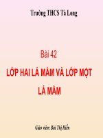 lop 1 la mam va 2 la mam