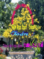 Toán 2- Giờ phút- Thế- TH Nam Cao