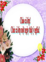 giao an gv gioi vong tinh dong thap