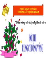 Rung chuông vàng 4+5 _2010