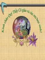 Tia hồng ngoại và tử ngoại