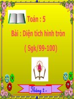 Toan 5- Dien tich hinh tron.ppt