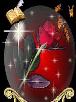 Treo biển lợn cưới áo mới