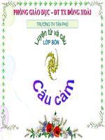 CÂU CẢM TUÀN 30