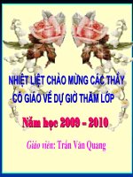 Miêu tả trong văn bản tự sự-Quang