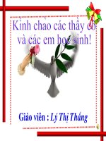 Ôn tập về diện tích , thể tích một số hình