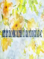 doi canh cua ngua trang