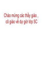 LS-tuan 29- Hoan thanh thong nhat dat nuoc