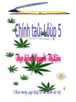 ct ki dieu rung xanh