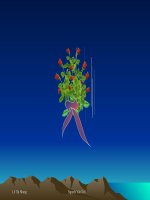 HH7_Tổng ba góc của 1 tam giác (t1)