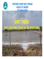 Hình thức nuôi thủy sản