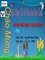 Tiết 13 - MÁY CƠ ĐƠN GIẢN