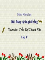 Động vật ăn gì để sống - khoa học - lớp 4