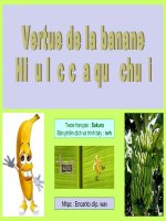 HIỆU LỰC CỦA QUẢ CHUỐI