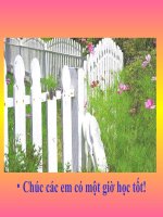 Hoc van lop1 tuan 13- ong- ong (2 tiet)