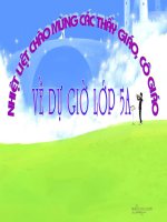 GAĐT Đất Cà Mau