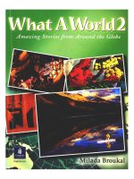 what a world 2 - amazing stories from around the globe
