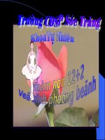 Ve sinh phong benh
