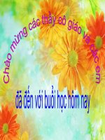 tnxh lop 2_ mot so dong vat tren can