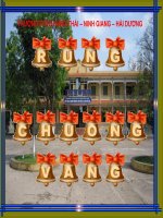 RUNG CHUONG VANG - THCS HUNG THAI
