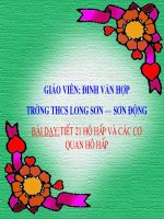 Sinh 8- Tiết 21 (dự thi cấp tỉnh 06-07)