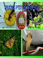 Bai 37-Dac Diem Sinh Vat VN