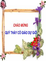 Tiết 46, Bai THIEN NHIEN TRUNG VA NAM MI.ppt