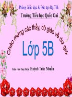 lop 5 tiet 32 Mua hoa phuong no