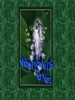 CHIẾC ÁO DÀI VIỆT NAM