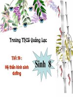 Phân hệ thần kinh sinh dưỡng