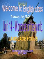 E.8_U.14_LANGUAGE FOCUS