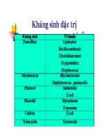 Cơ chế tác động của kháng sinh_phần 6