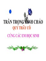le thi kim-chu van an