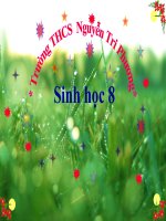 Bài 7: Bộ Xương