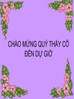 Bệnh tật và di truyền ở người