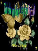 Bài 17 (Tiết 19): Chiến thắng lịch sử Điện Biên Phủ