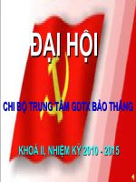 dại hội đảng