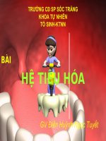 Hệ tiêu hóa trẻ em