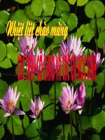 Tiet 108- Nghi luan ve van de tu tuong dao li