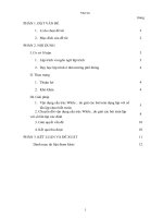 skkn thông qua một số ví dụ giúp học sinh biết cách vận dụng cấu trúc điều khiển lặp while… dovào lập trình giải quyết các bài toán trong chương trình tin học lớp 11 ở trường thpt quảng xương 4.