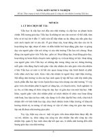 SÁNG KIẾN KINH N NGHIỆM Đề tài: Thực trạng và một số biện pháp quản lý công tác chủ nhiệm ở trường Tiểu học.