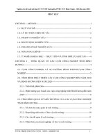 Nghiên cứu và đề xuất mô hình quản lý cụm công nghiệp thân thiện môi trường hướng đến phát triển bền vững cụm công nghiệp Bình Chuẩn tỉnh Bình Dương đến năm 2020