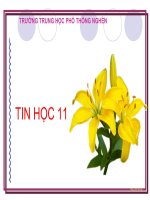 bai 19 tin 11