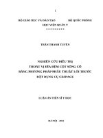 Nghiên cứu điều trị thoát vị đĩa đệm cột sống cổ bằng phẫu thuật lối trước đặt dụng cụ cespace